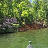 Review photo of Dreher Island State Park Campground by Susan C., July 15, 2019