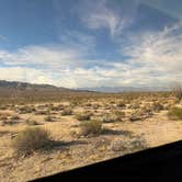 Review photo of Joshua Tree South Dispersed Camping by Kathy B., March 27, 2025
