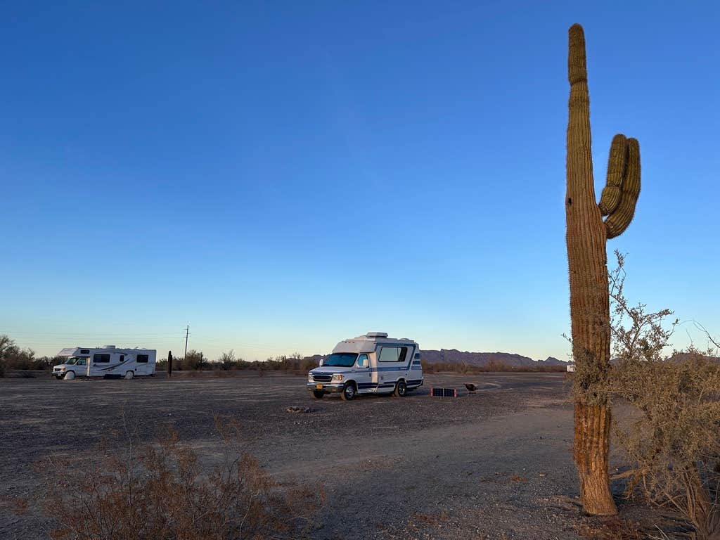 Kathy B.'s photo of camping with pets at Scaddan Wash near Salome, AZ