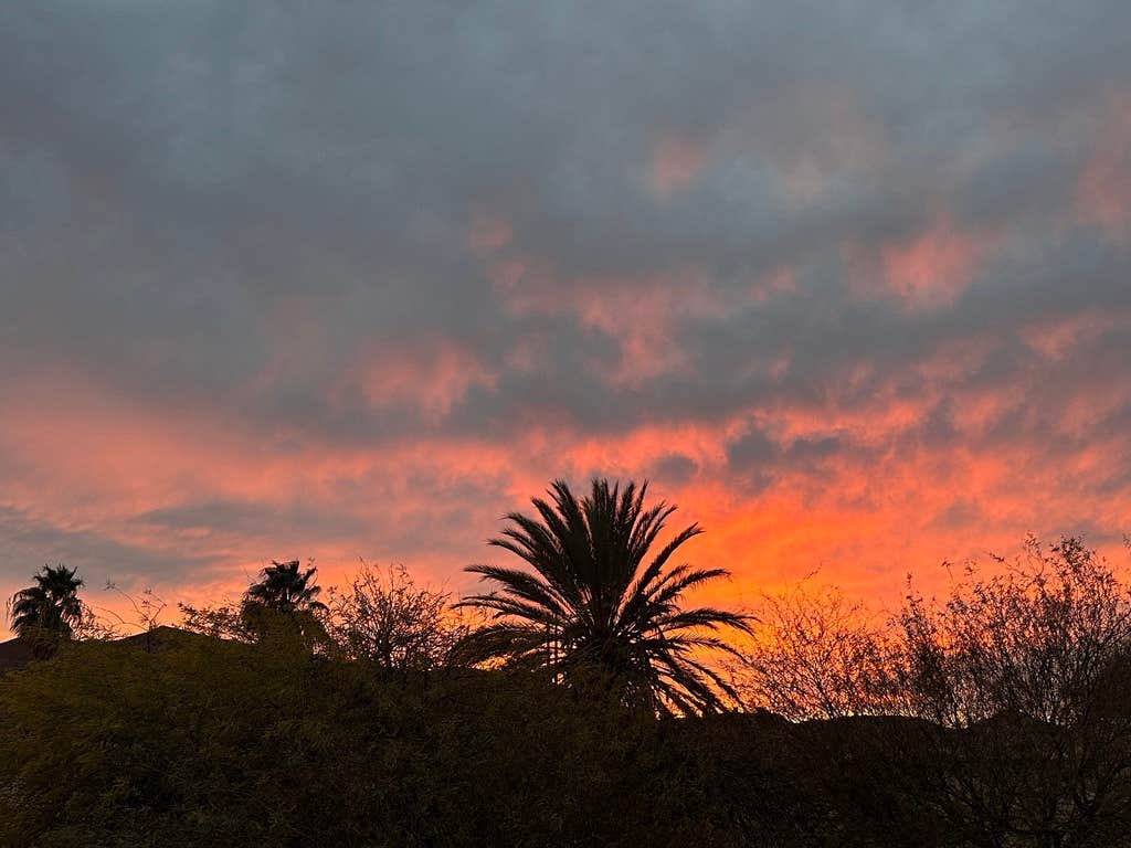 Camper-submitted photo at T.K. Jones Campground at Squaw Lake near Winterhaven, CA