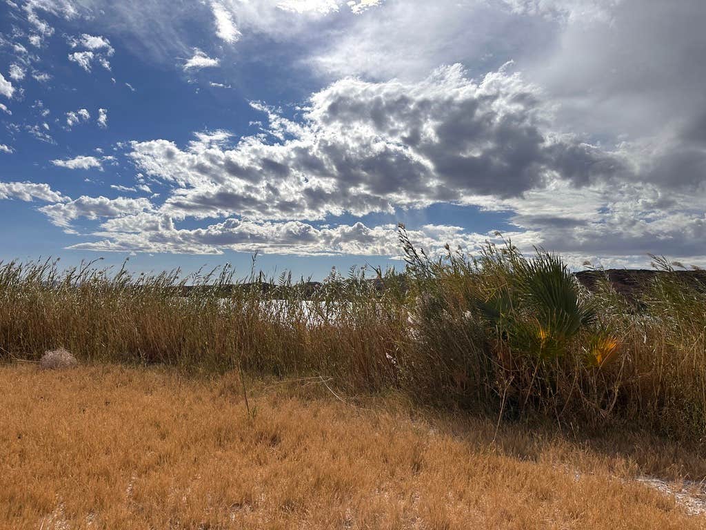 Camper-submitted photo at T.K. Jones Campground at Squaw Lake near Winterhaven, CA