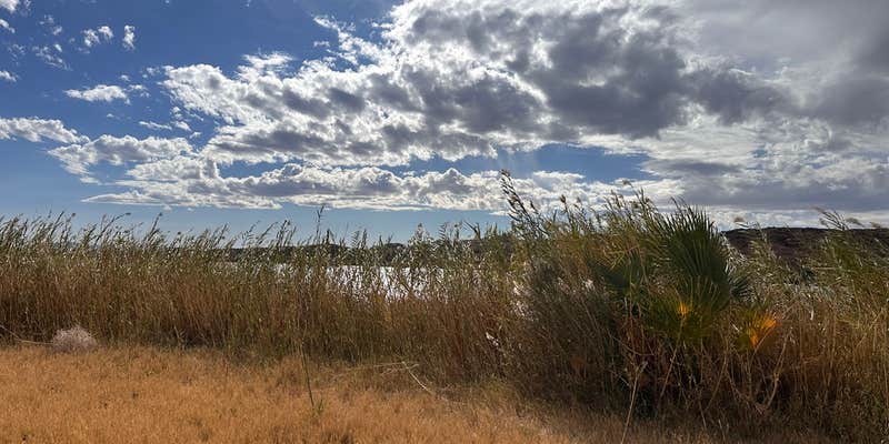 Camper submitted image from T.K. Jones Campground at Squaw Lake