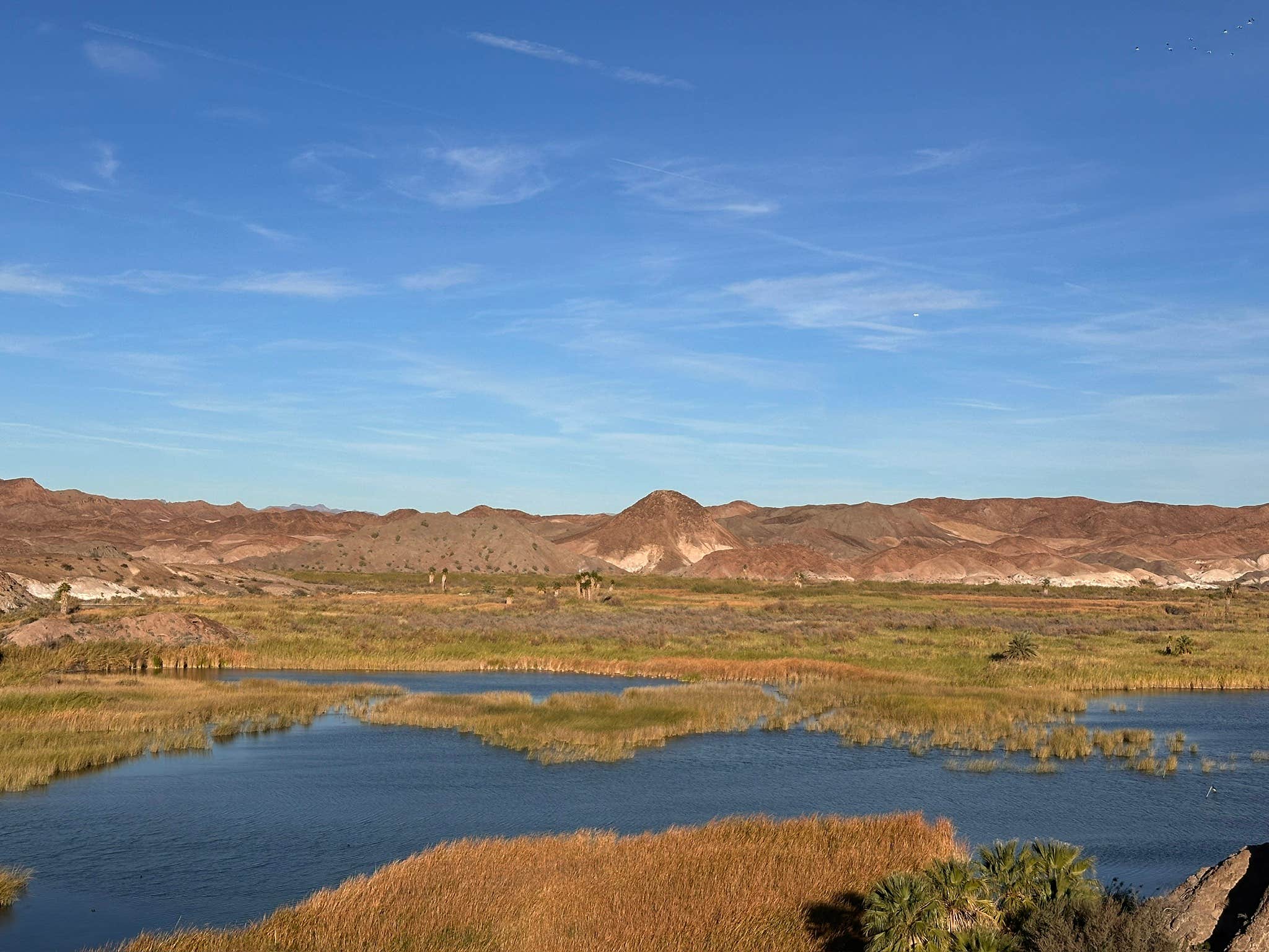 Camper-submitted photo at T.K. Jones Campground at Squaw Lake near Winterhaven, CA