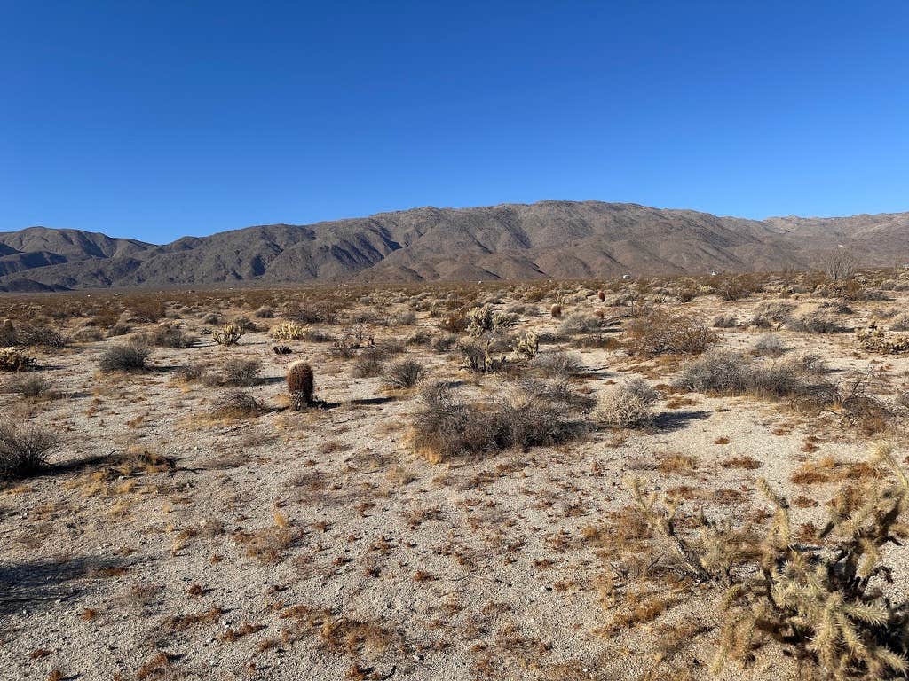 Camper-submitted photo at Galleta Meadows, Borrego Springs near Julian, CA