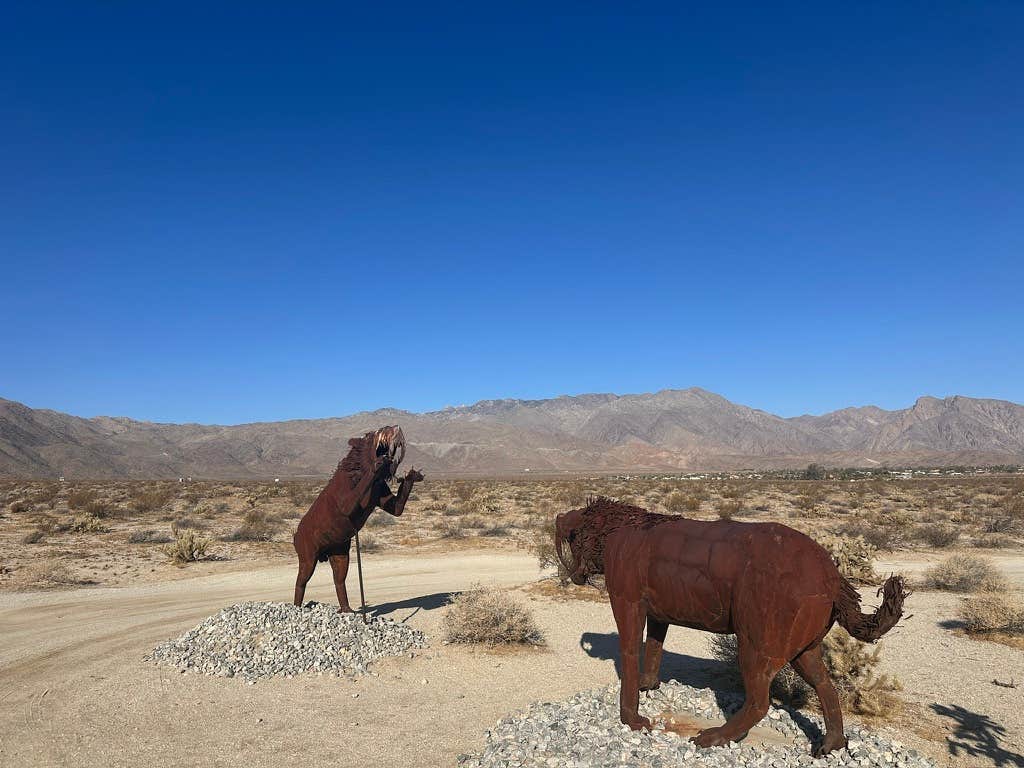 Camper submitted image from Galleta Meadows, Borrego Springs - 5