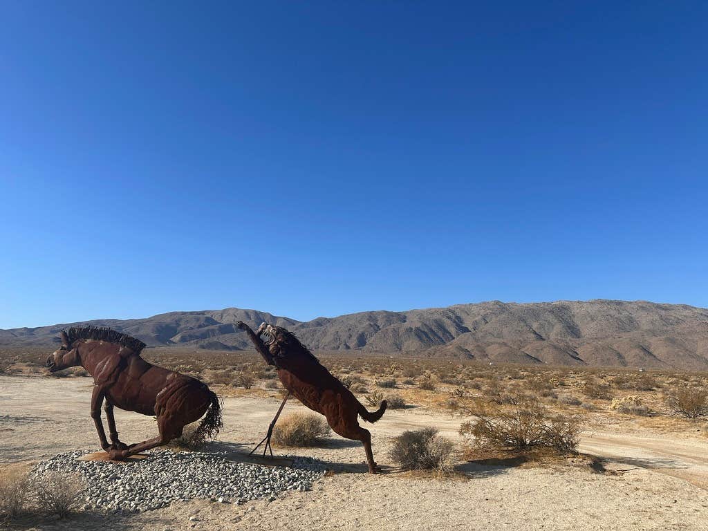 Kathy B.'s photo of camping with pets at Galleta Meadows, Borrego Springs near Ocotillo Wells, CA