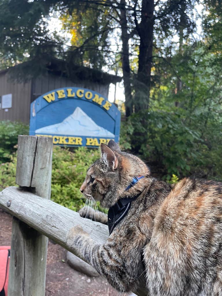 Kathy B.'s photo of camping with pets at Tucker Park Campground near Hood River, OR