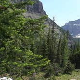 Review photo of Bowman Lake Campground — Glacier National Park by Allyson T., September 19, 2016