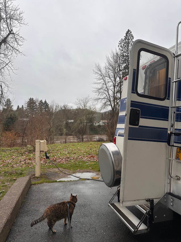 Kathy B.'s photo of camping with pets at Valley of the Rogue State Park Campground near Grants Pass, OR