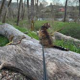 Review photo of Valley of the Rogue State Park Campground by Kathy B., March 28, 2025