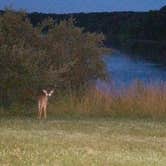 Review photo of Thousand Hills State Park Campground by Jason C., July 15, 2019