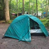Review photo of Elkmont Campground — Great Smoky Mountains National Park by Chastity H., July 15, 2019