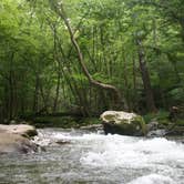 Review photo of Elkmont Campground — Great Smoky Mountains National Park by Chastity H., July 15, 2019