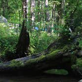 Review photo of Elkmont Campground — Great Smoky Mountains National Park by Chastity H., July 15, 2019