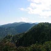 Review photo of Elkmont Campground — Great Smoky Mountains National Park by Chastity H., July 15, 2019