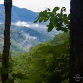 Review photo of Elkmont Campground — Great Smoky Mountains National Park by Chastity H., July 15, 2019