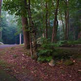 Review photo of Elkmont Campground — Great Smoky Mountains National Park by Chastity H., July 15, 2019