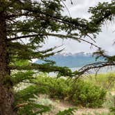 Review photo of Twin Peaks Dispersed Campground- Colorado by Sara W., July 15, 2019