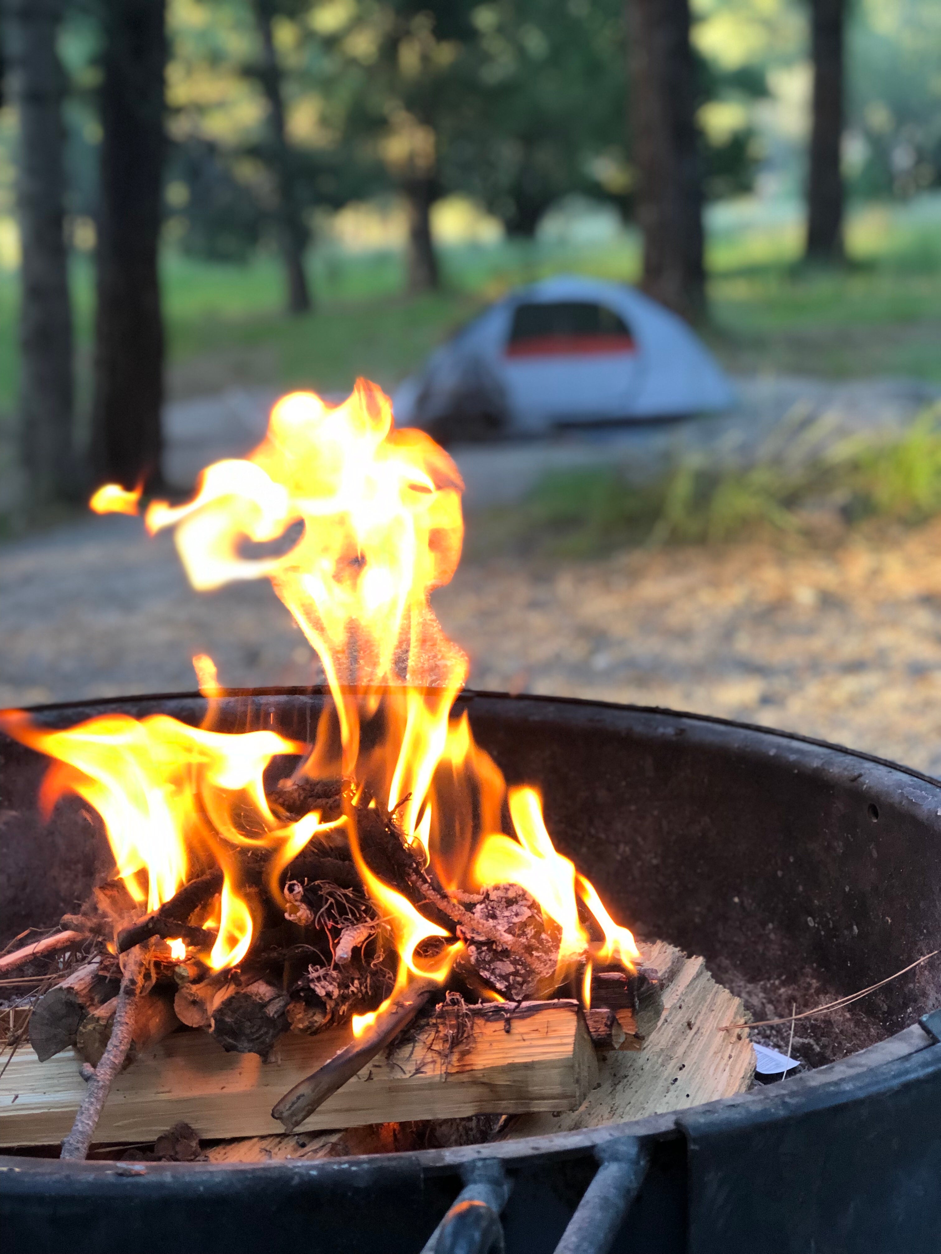 Camper submitted image from Pine Valley Equestrian Campground - 5