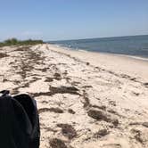 Review photo of Janes Island State Park Campground by Kristen D., July 15, 2019