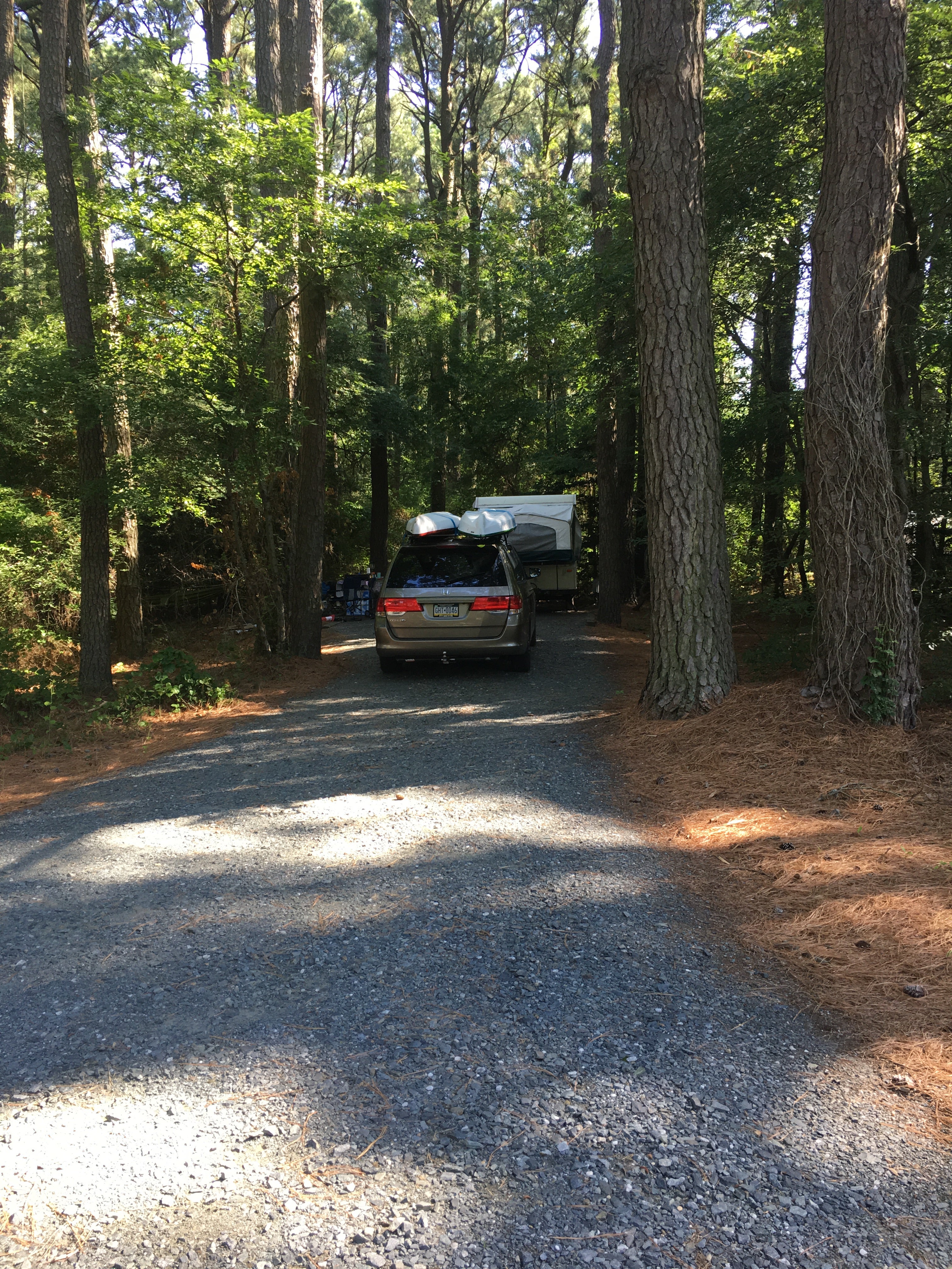 Camper submitted image from Janes Island State Park Campground - 5
