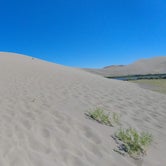 Review photo of Bruneau Dunes State Park Campground by C M., July 12, 2019
