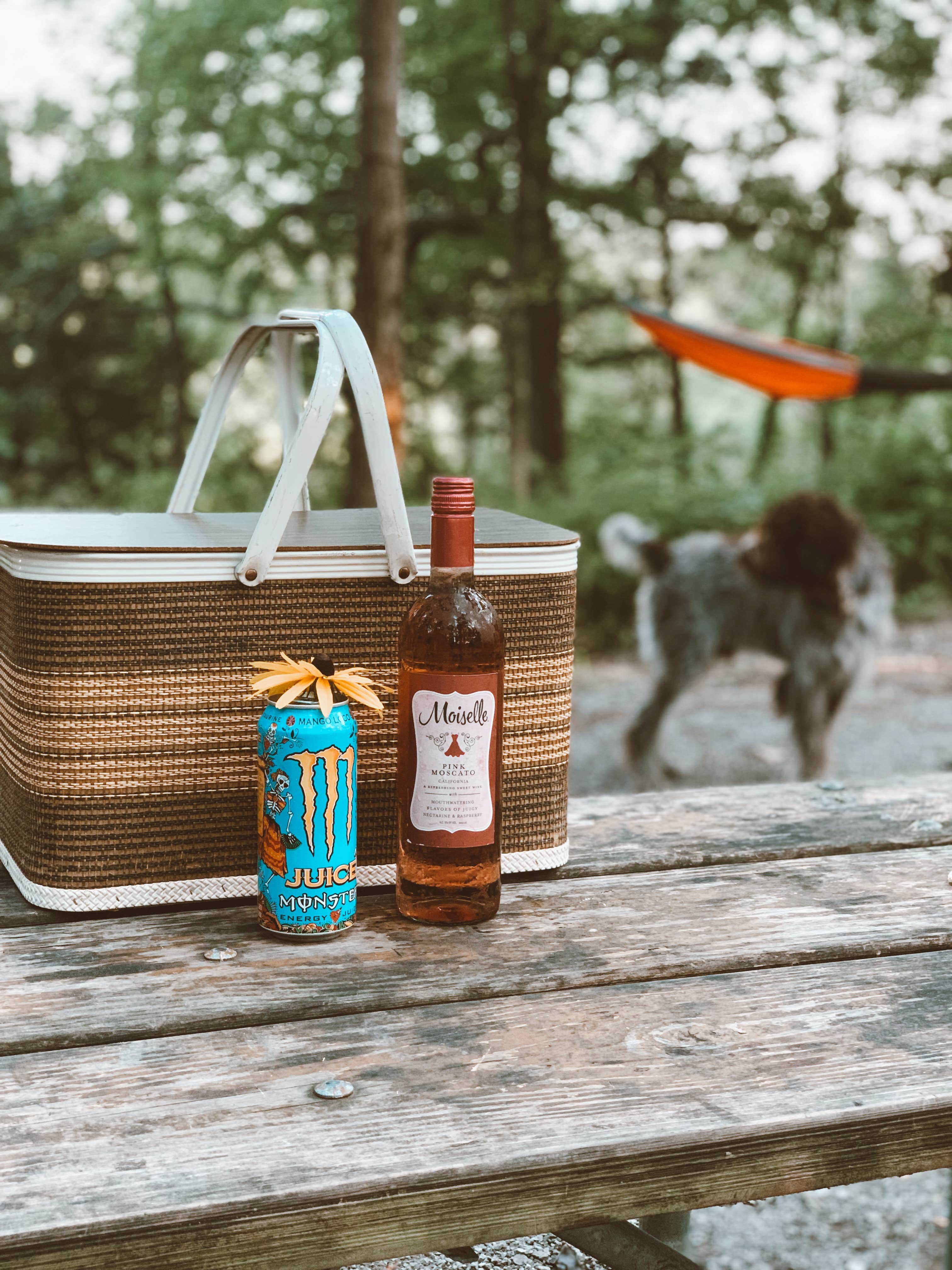 Taylor L.'s photo of camping with pets at Pharoah - Garden of the Gods Rec Area Campground near Mount Vernon, IN