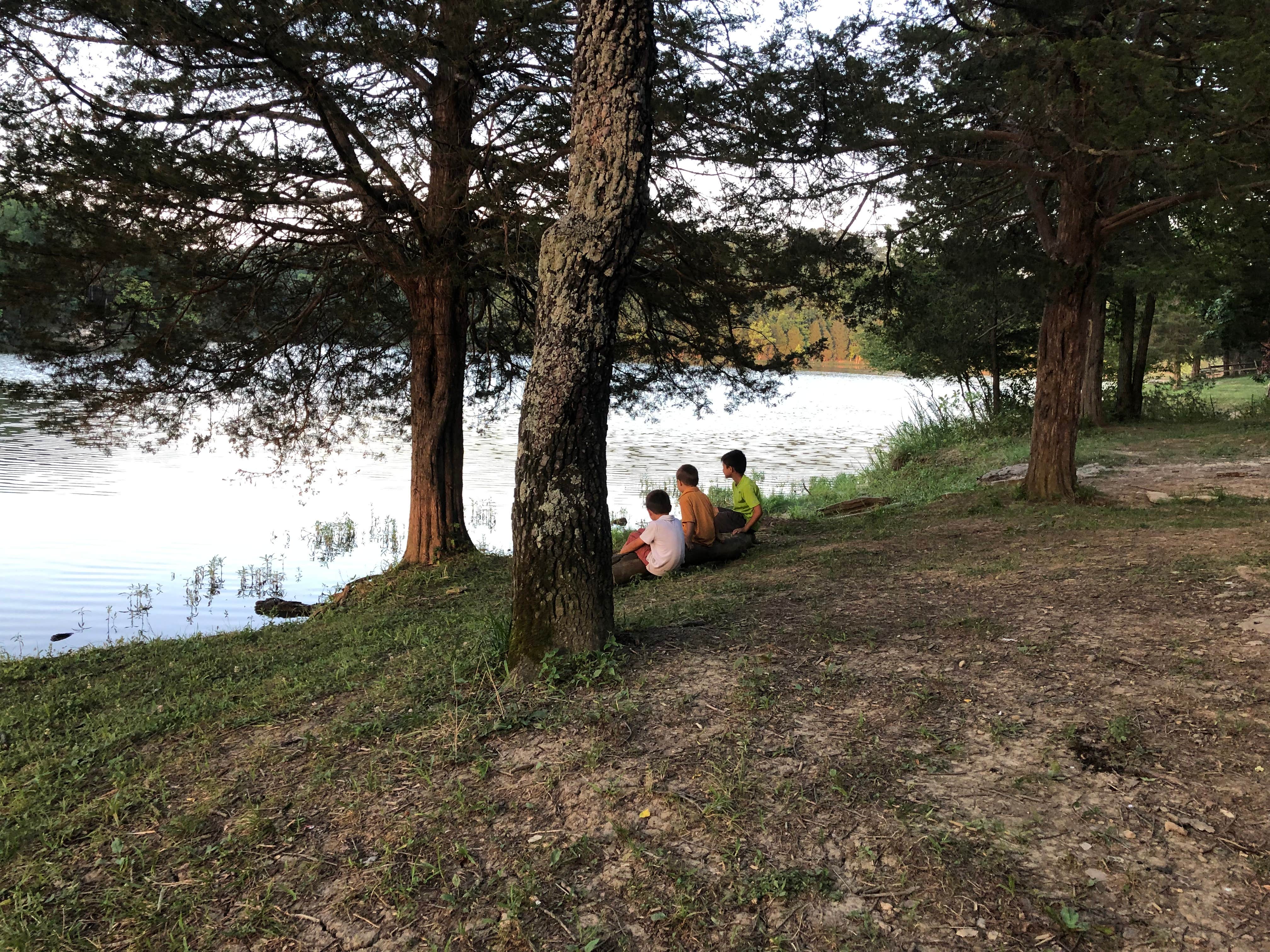 Kincaid Lake State Park Campground Falmouth, KY