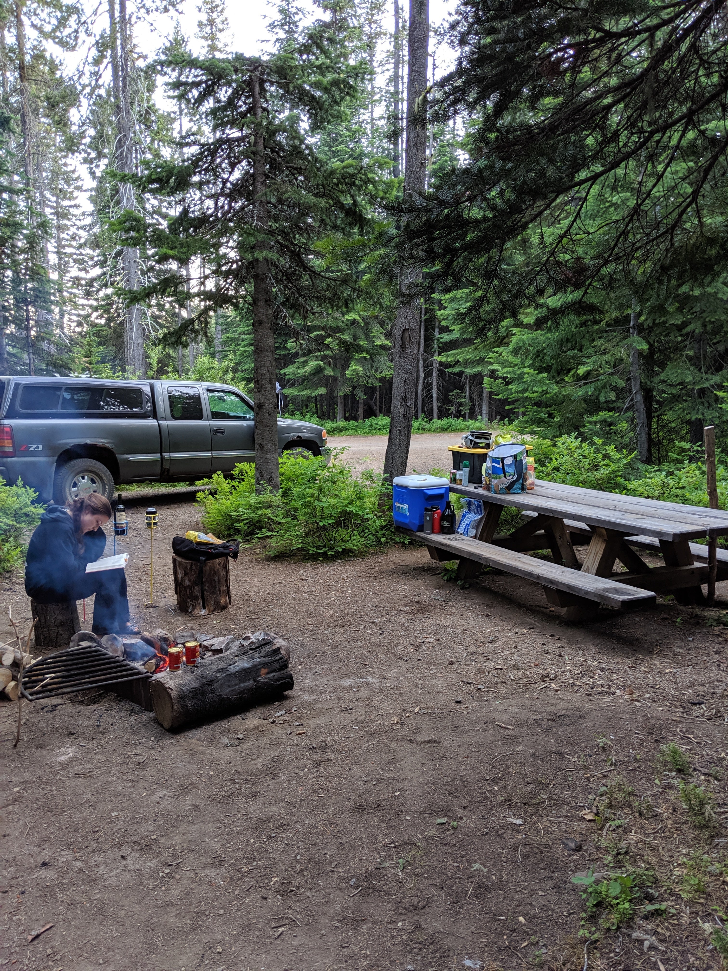 Camper submitted image from Target Meadows Campground - 4