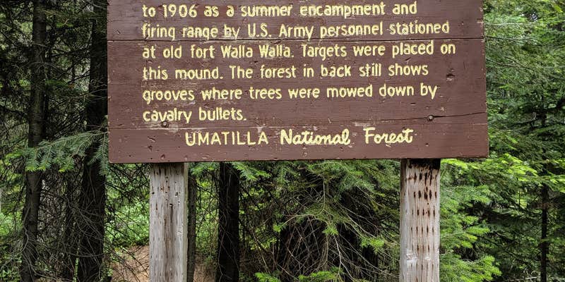 Camper submitted image from Target Meadows Campground — Umatilla National Forest