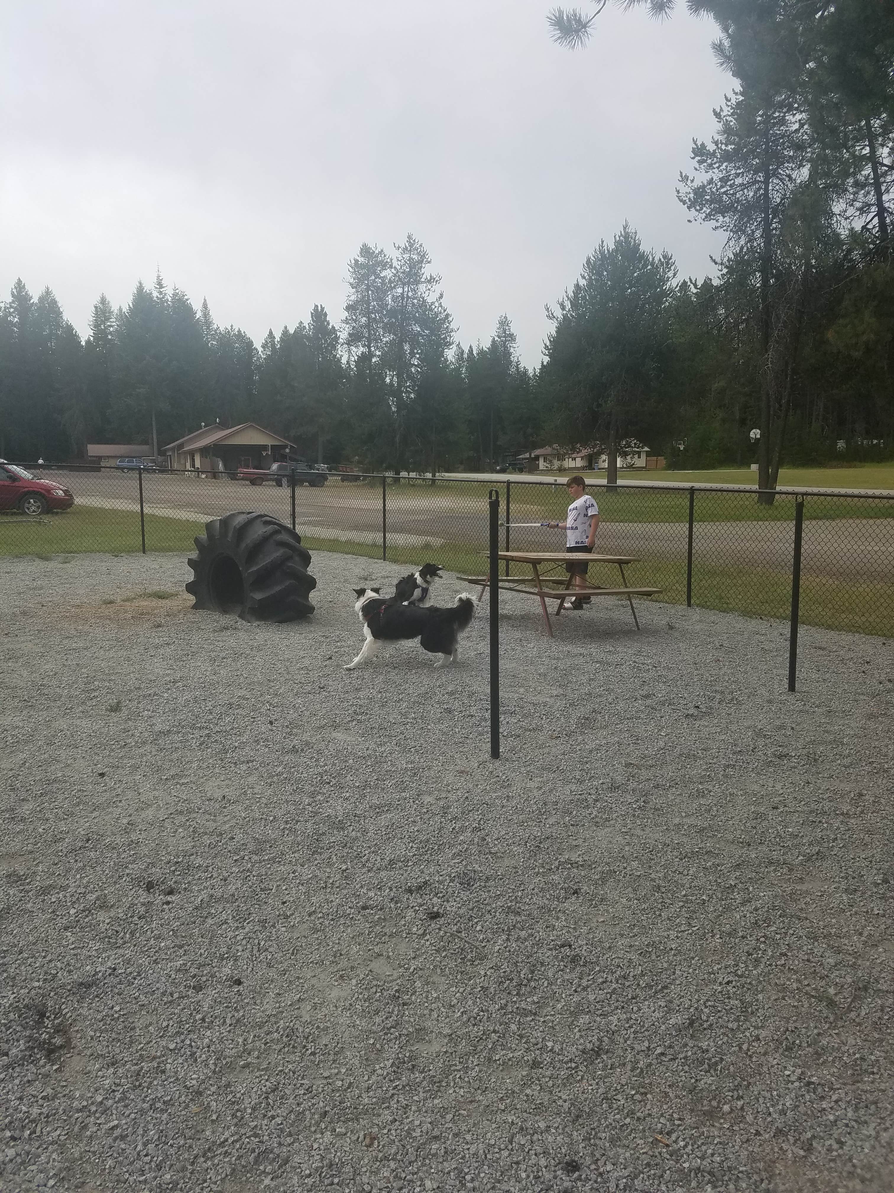 pat  H.'s photo of camping with pets at Thousand Trails Little Diamond near Loon Lake, WA