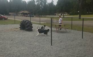 pat  H.'s photo of camping with pets at Thousand Trails Little Diamond near Tumtum, WA