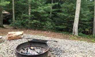 Camping near Grandview Sandbar Campground — New River Gorge National Park and Preserve: Little Beaver State Park Campground, Daniels, West Virginia