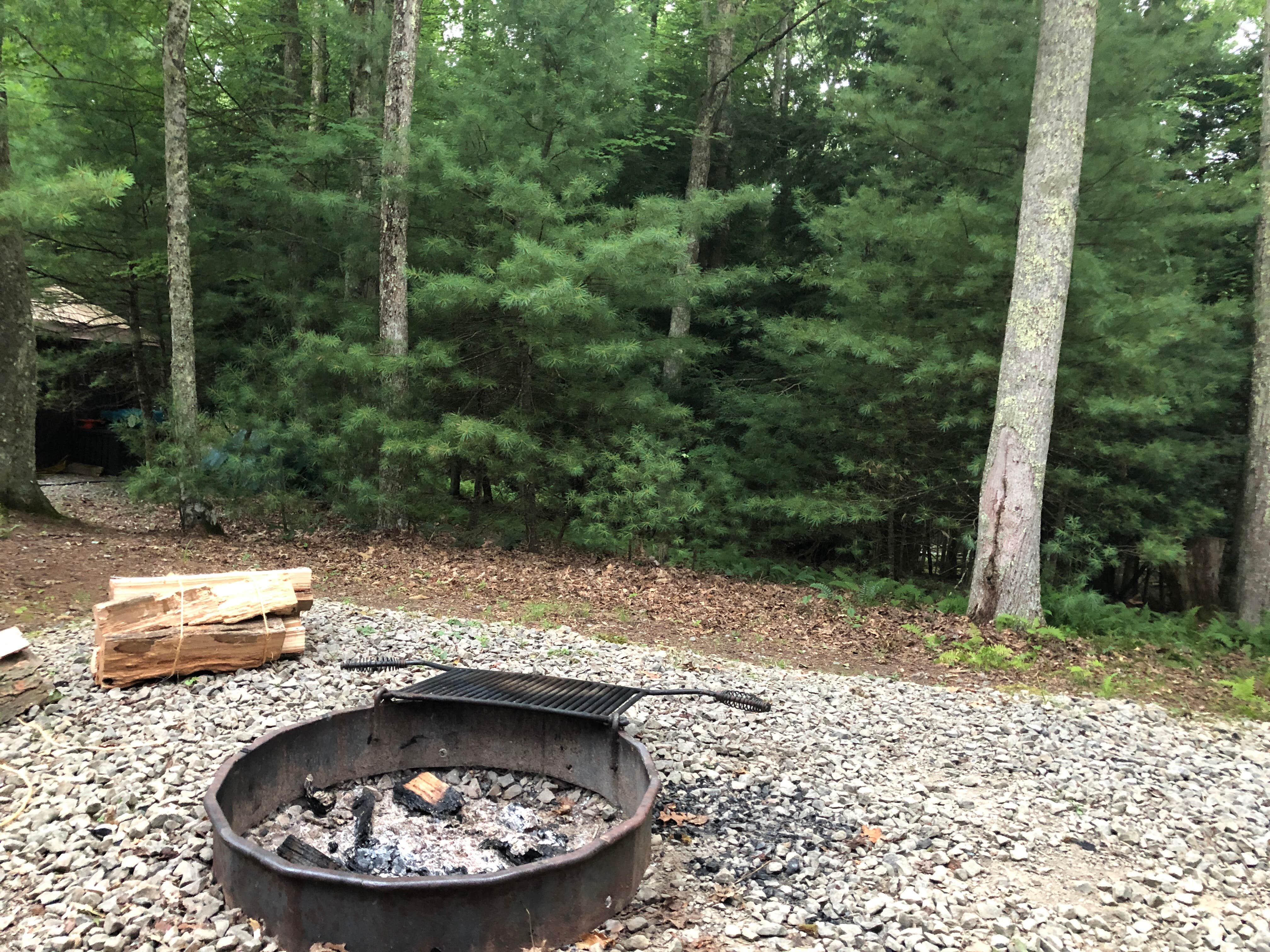 Camper submitted image from Little Beaver State Park Campground - 1