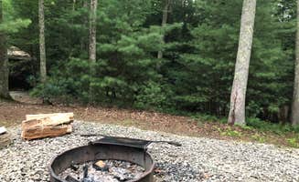 Allen P.'s photo at Little Beaver State Park Campground near New Richmond, WV