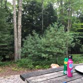 Review photo of Little Beaver State Park Campground by Allen P., July 15, 2019