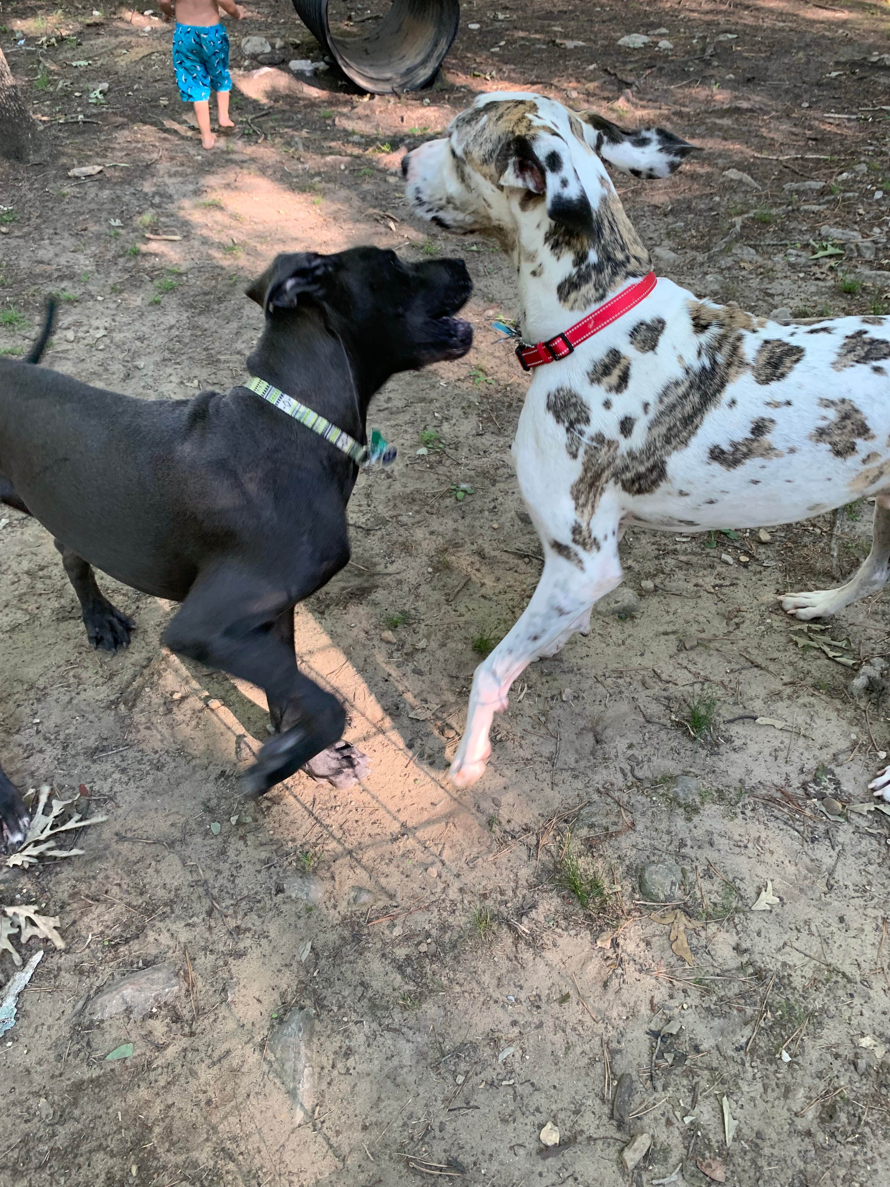 Camper-submitted photo at Sun Retreats Shenandoah Valley near George Washington & Jefferson National Forests