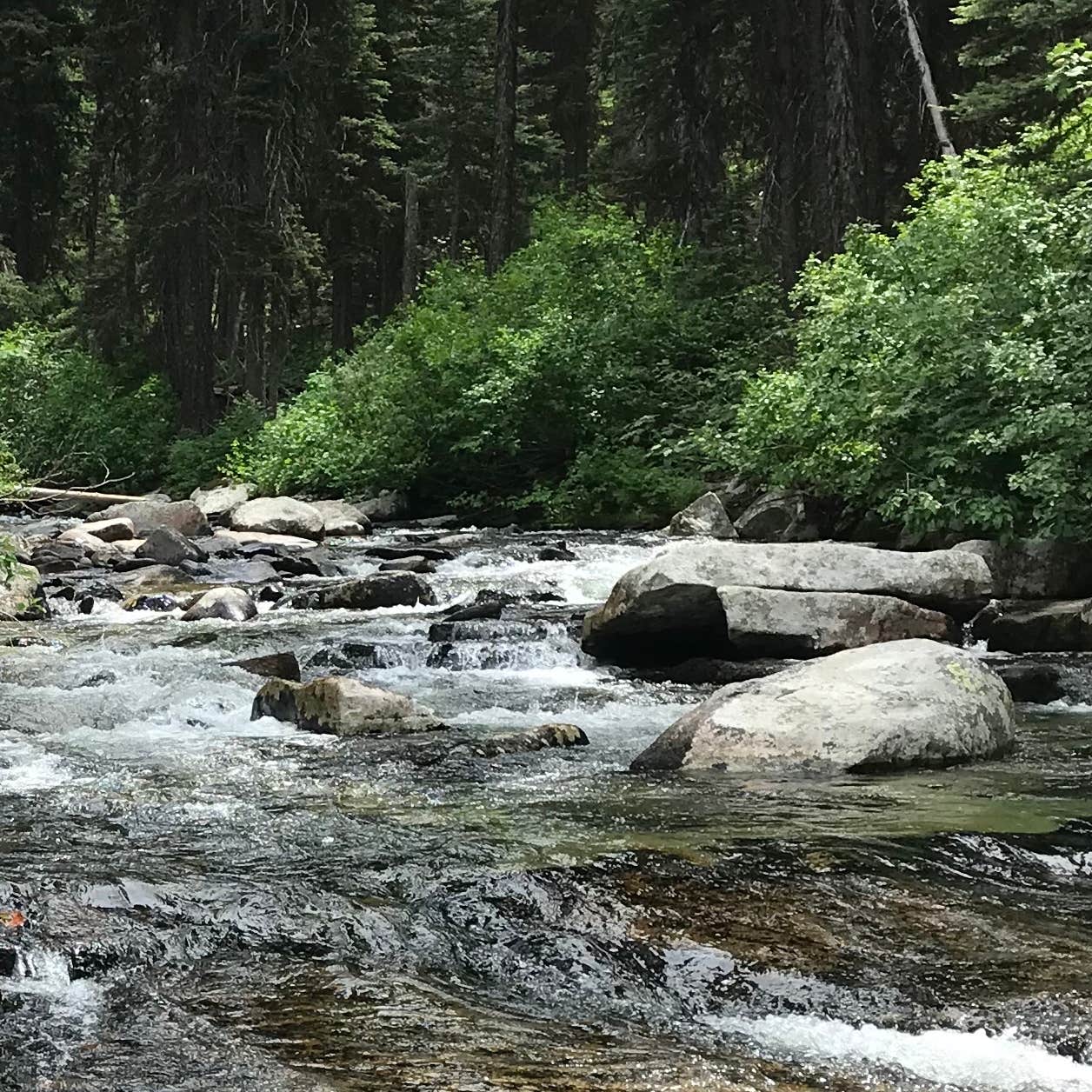 Escape To Idaho’s Wilderness: A Getaway At Kennally Creek Campground