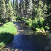 Review photo of Kennally Creek by Cyndi S., July 15, 2019