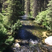Review photo of Kennally Creek by Cyndi S., July 15, 2019