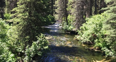 Kennally Creek