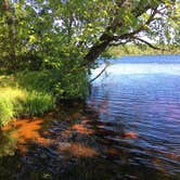 Review photo of Bob Lake Campground by Jennifer S., July 15, 2019