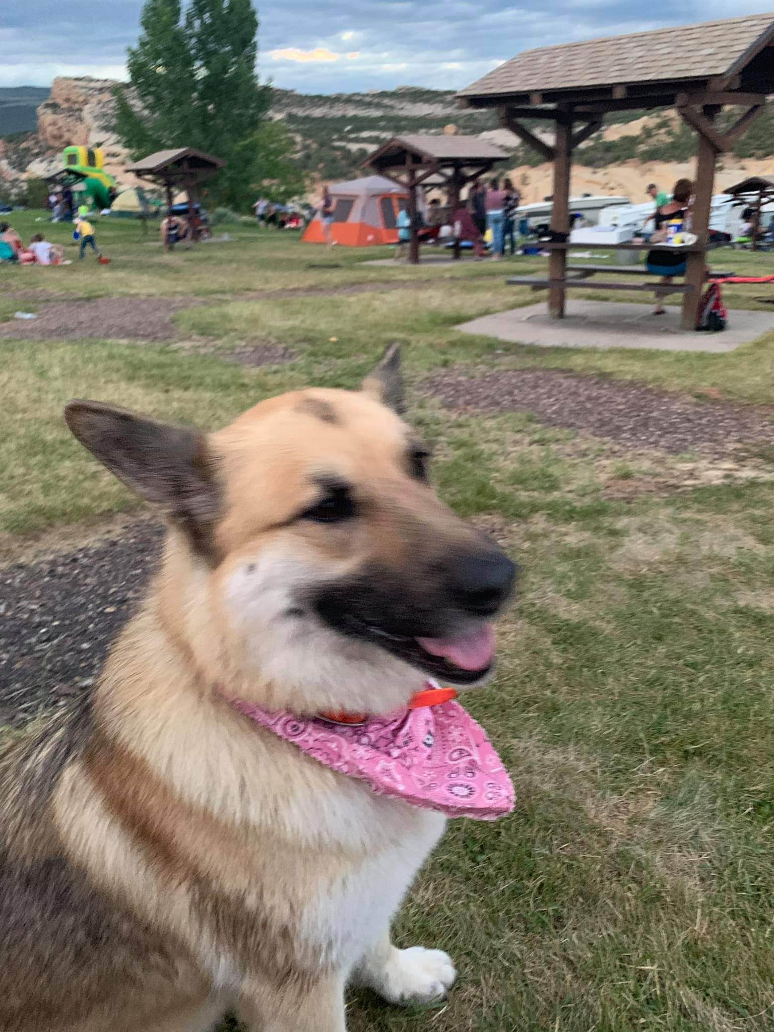 Camper-submitted photo at Red Fleet State Park Campground near Vernal, UT