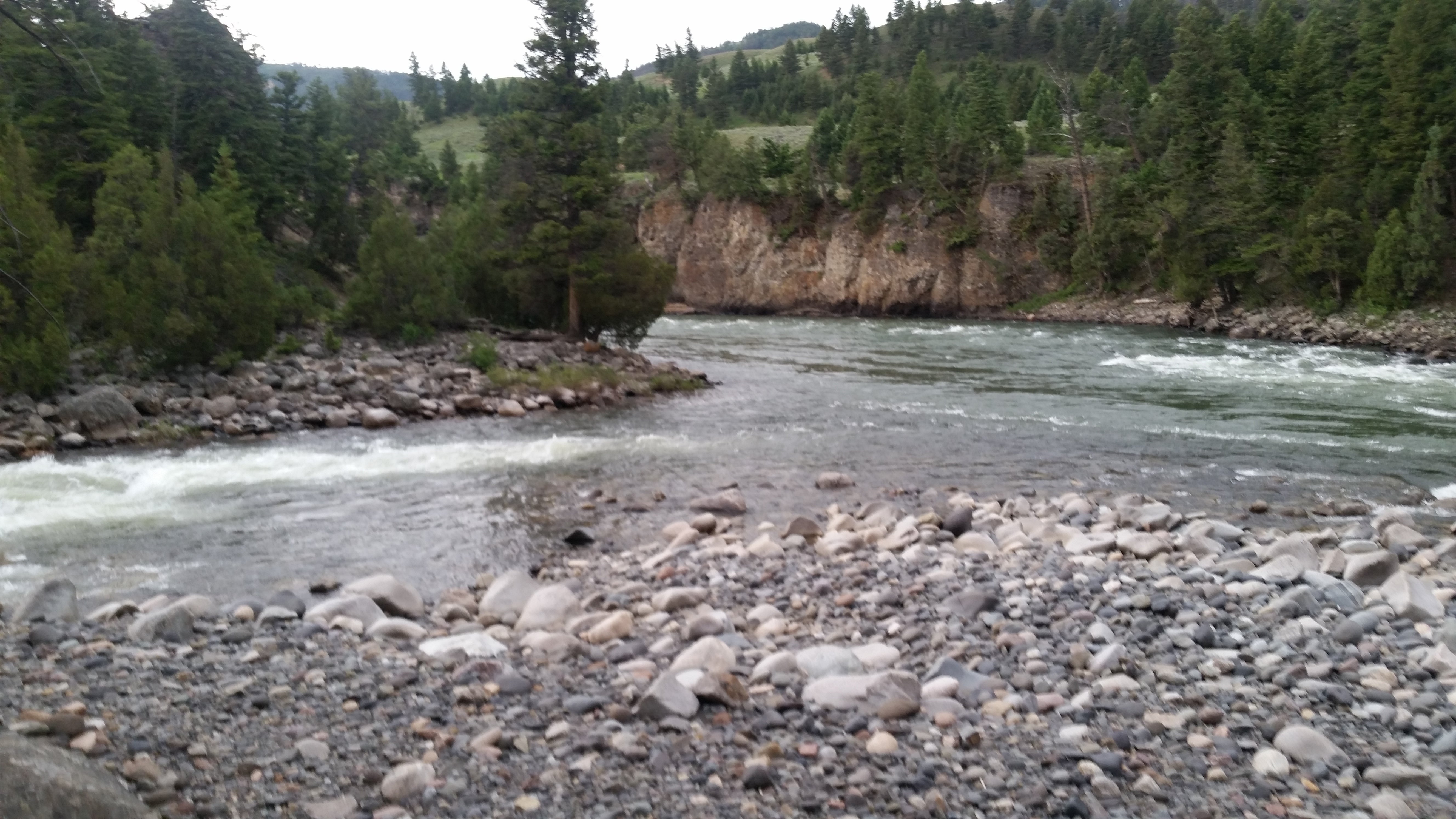 Confluence of Hell Roaring Creek (on left) and the Yellowstone River