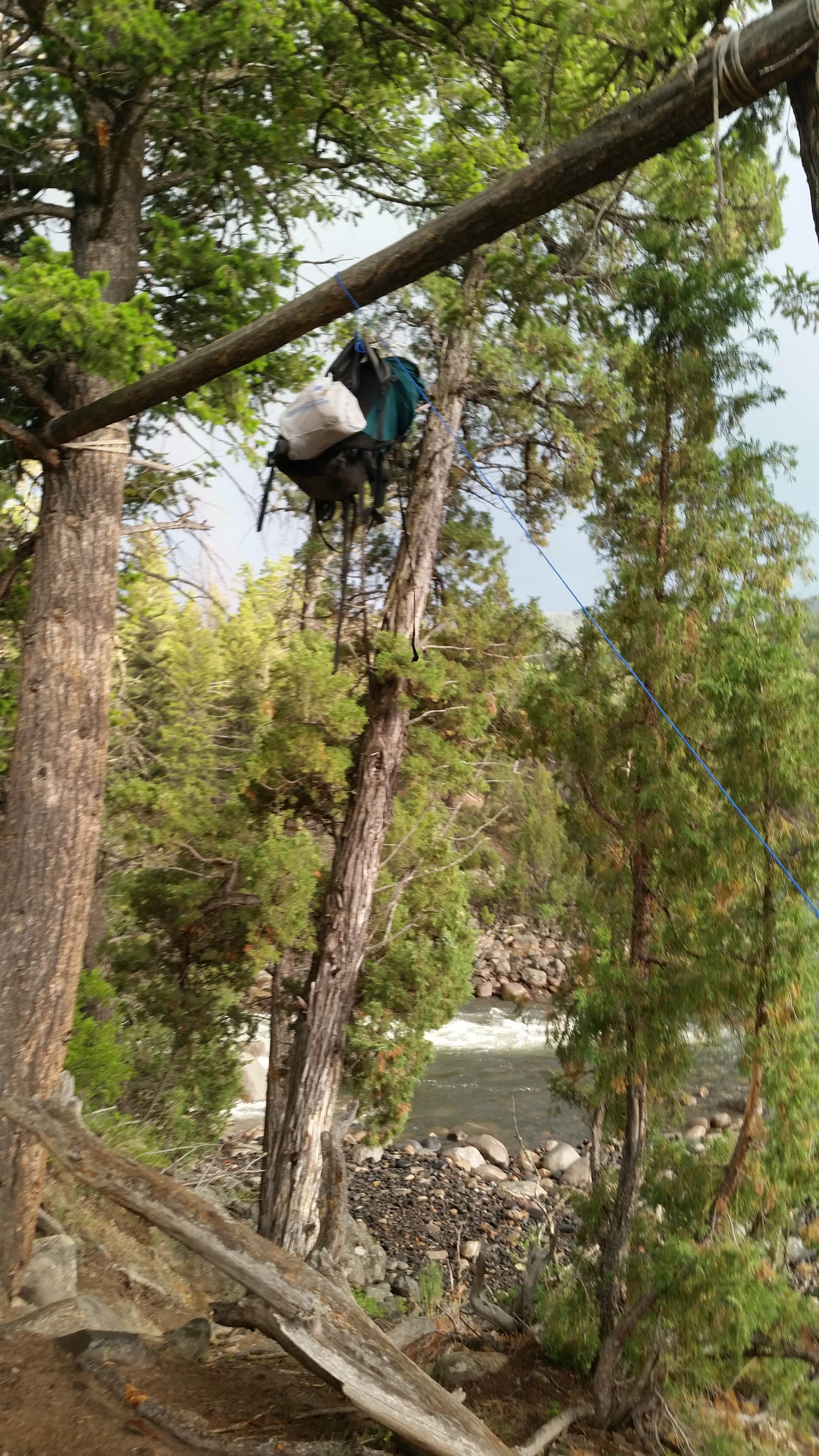 Camper-submitted photo at 2H1 Yellowstone National Park Backcountry — Yellowstone National Park near Silver Gate, MT