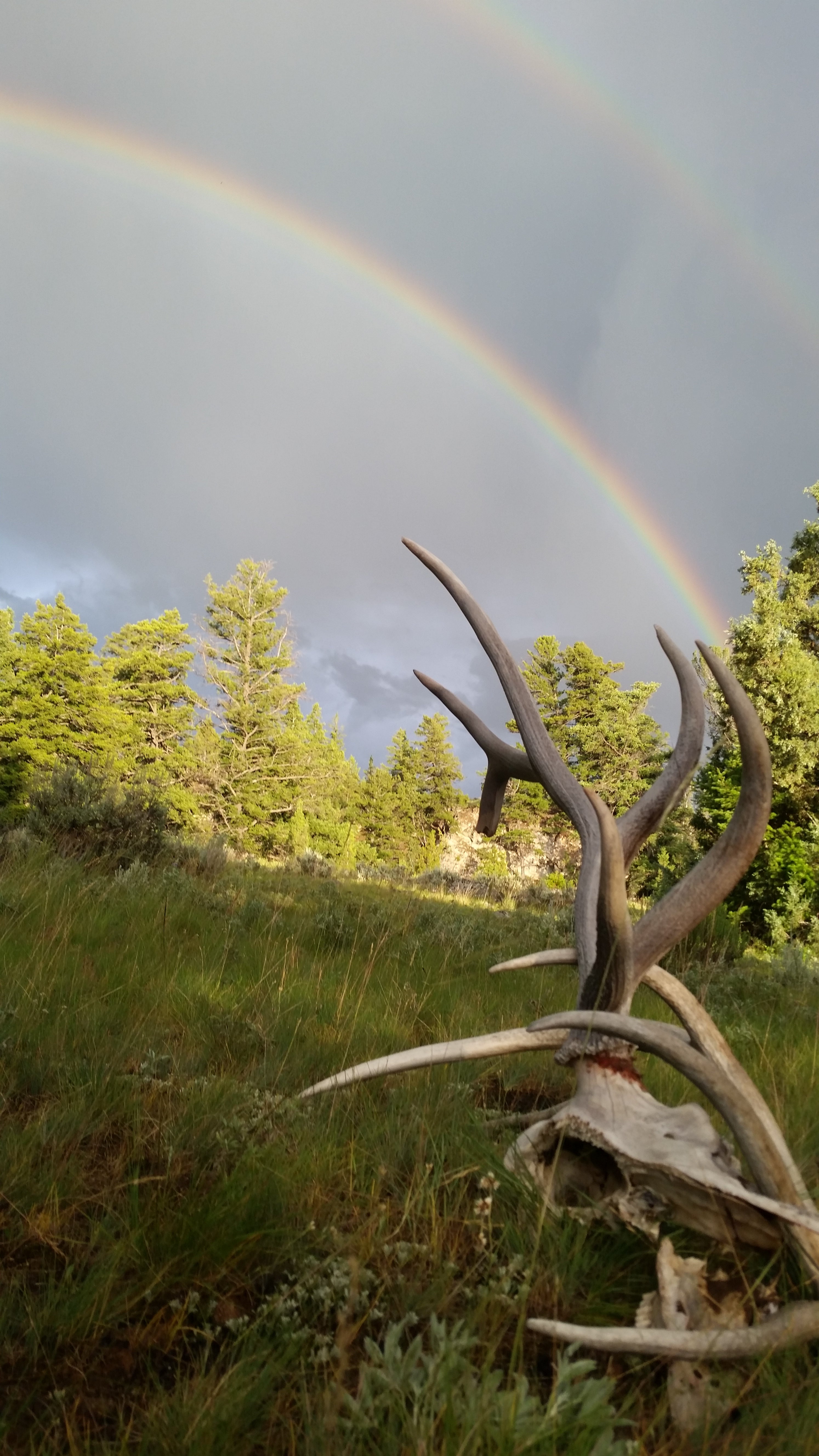 rainbow over elk antlers