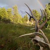 Review photo of 2H1 Yellowstone National Park Backcountry — Yellowstone National Park by Dexter I., July 15, 2019