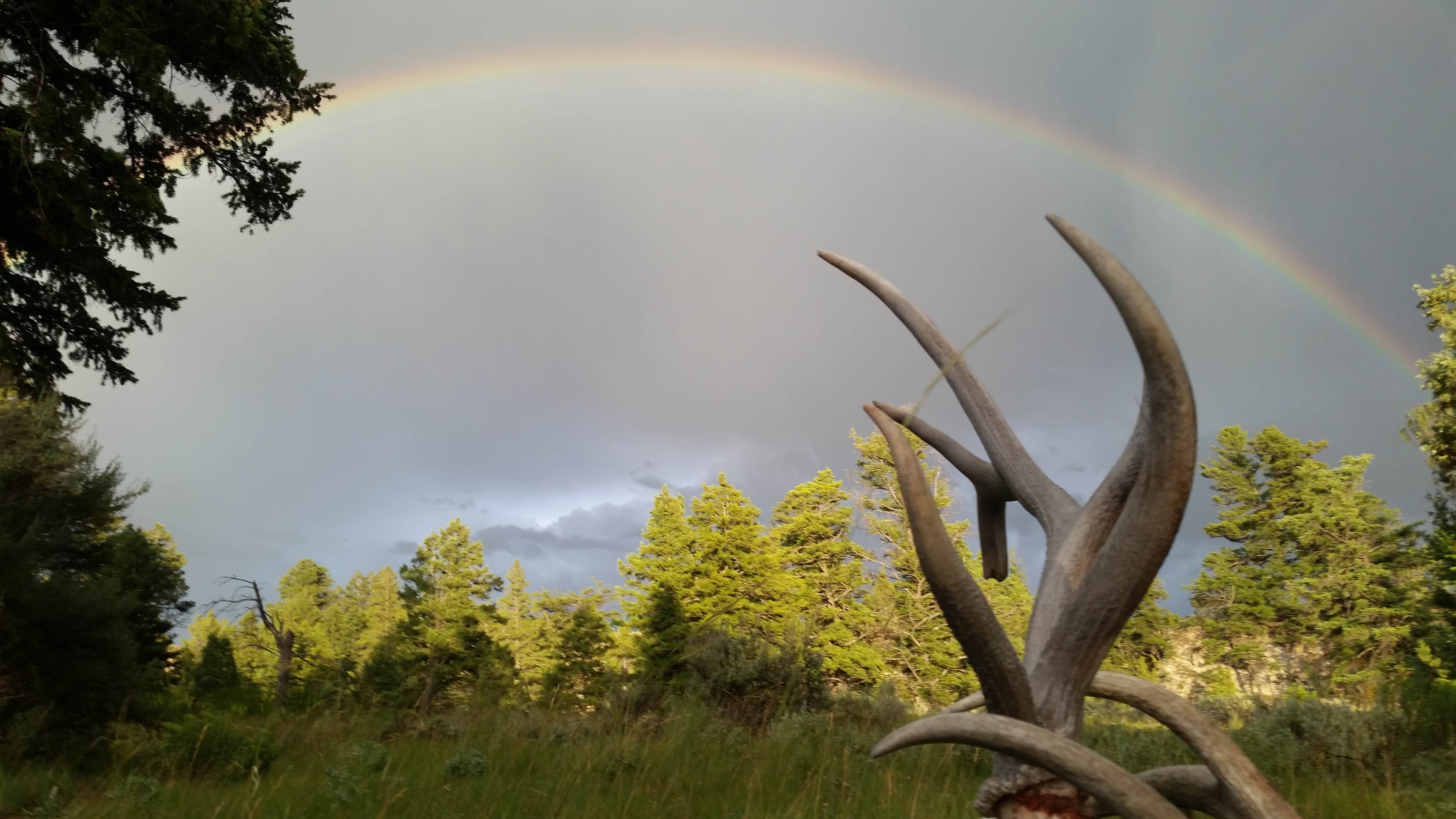 Camper-submitted photo at 2H1 Yellowstone National Park Backcountry — Yellowstone National Park near Silver Gate, MT