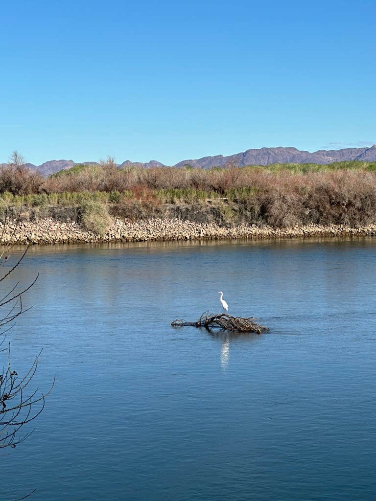 Camper-submitted photo at Cibola National Wildlife Refuge - East near Cibola, AZ