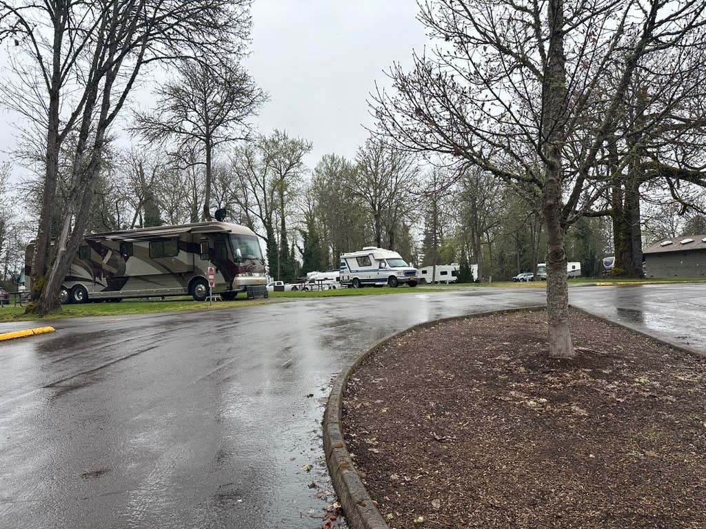 Camper-submitted photo at Gills Landing RV Park near Adair Village, OR